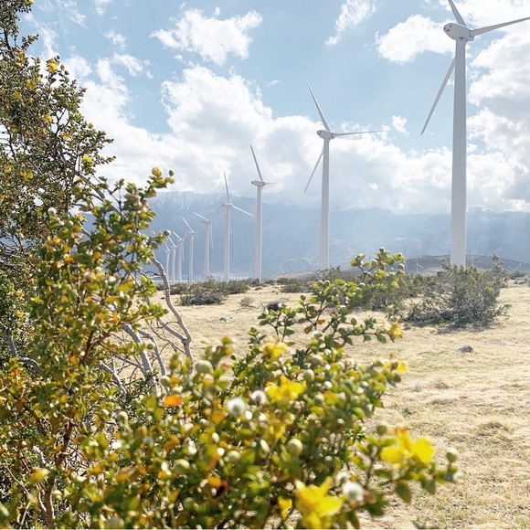 ✨DESERT DARLING CO.✨ - Picture 7 of 12